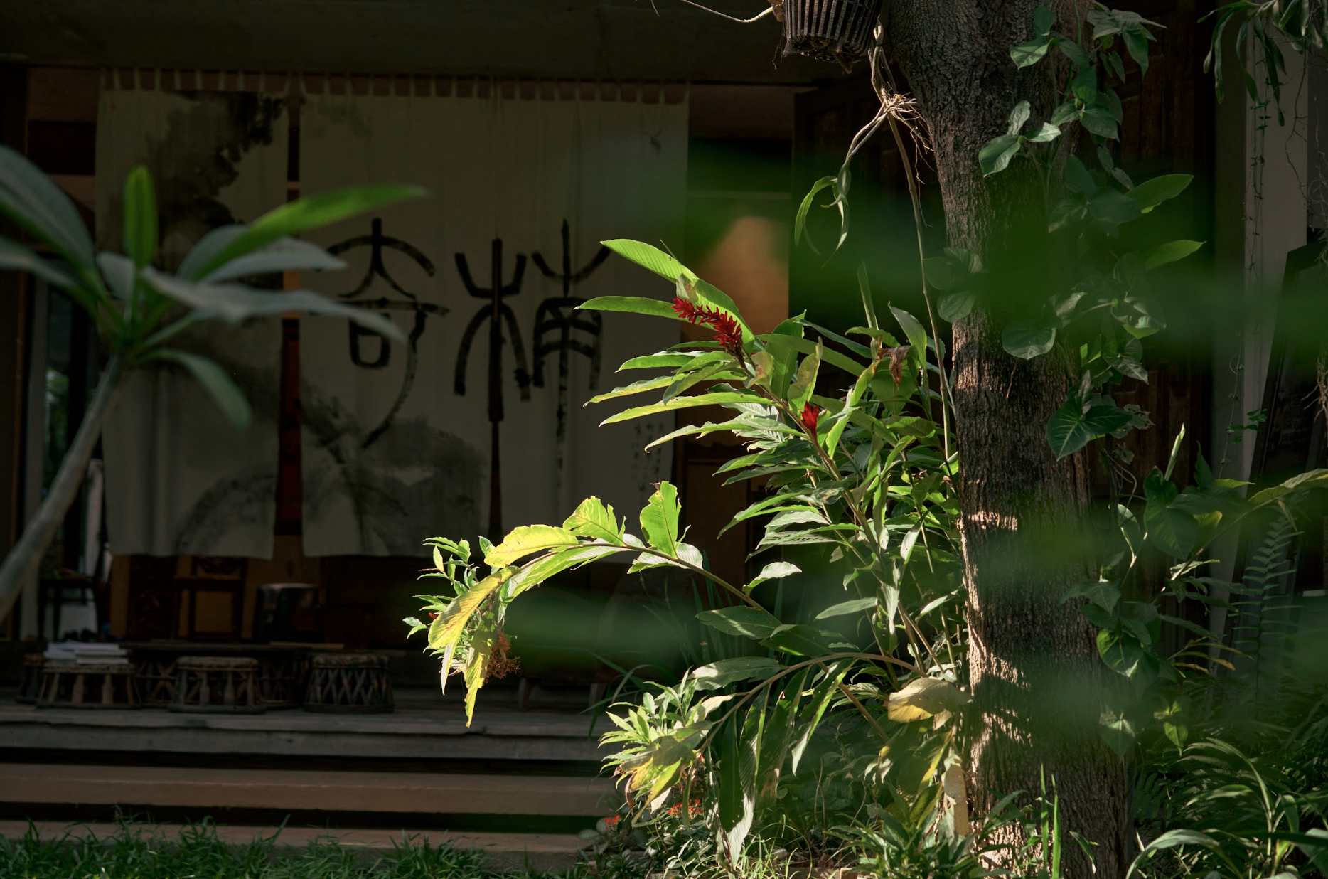 Kyara Arthouse building and surrounding gardens